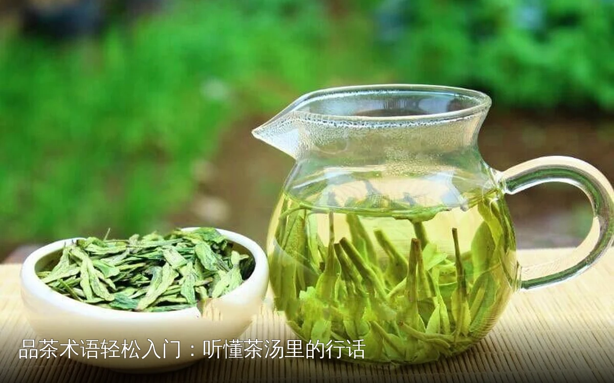 品茶术语轻松入门：听懂茶汤里的行话