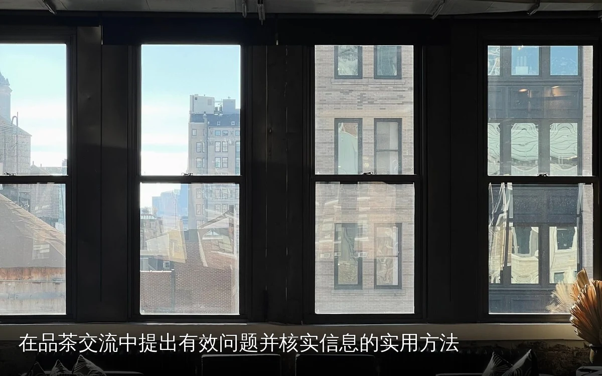 在品茶交流中提出有效问题并核实信息的实用方法