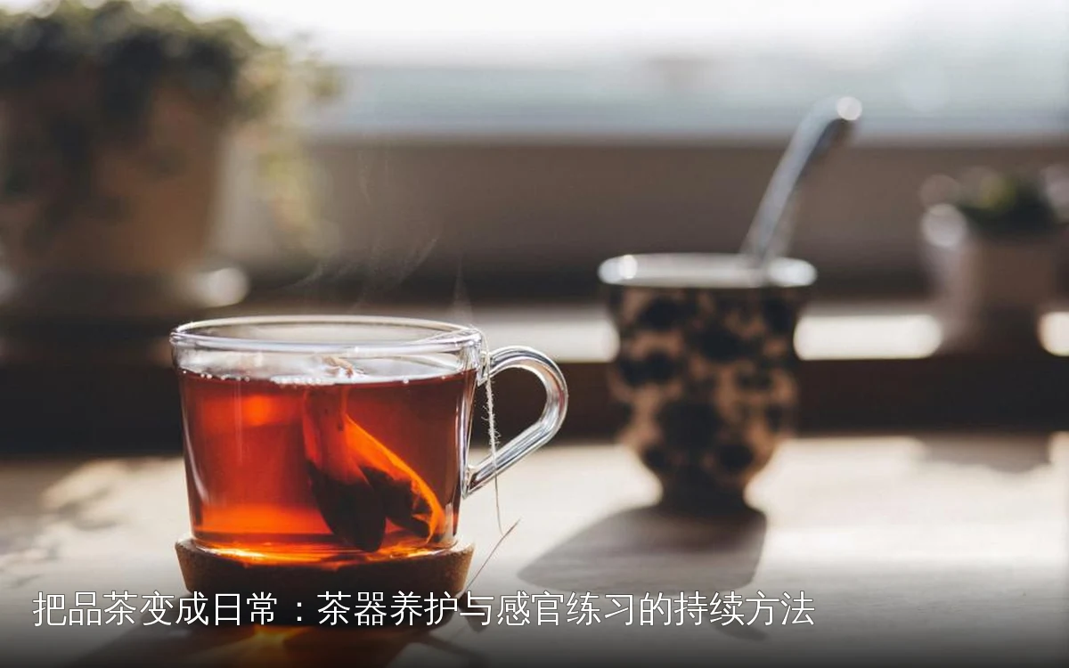 把品茶变成日常：茶器养护与感官练习的持续方法